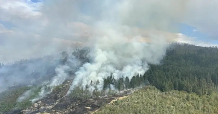 B.C. wildfires continue to flare up, with almost 30 added in past 24 hours B.C. wildfires continue to flare up, with almost 30 added in past 24 hours