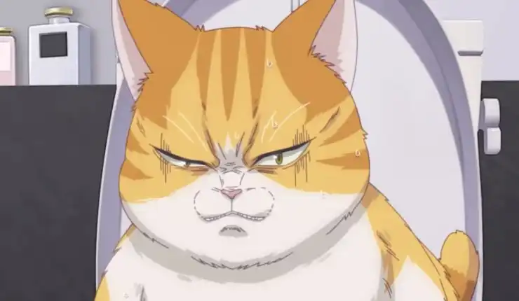 Crunchyroll Unveil Anigmagic 2026 Acquisitions Crunchyroll Unveil Anigmagic 2026 Acquisitions