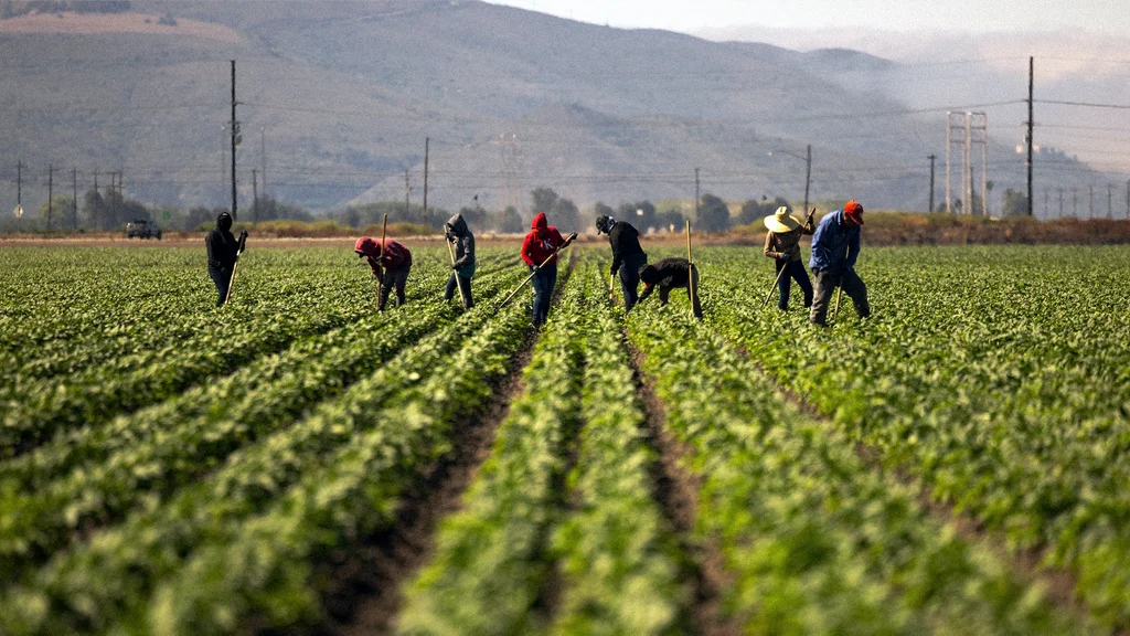 Farmworkers across 22 states will get free access to electrolytes to combat dangerous heat stress Farmworkers across 22 states will get free access to electrolytes to combat dangerous heat stress