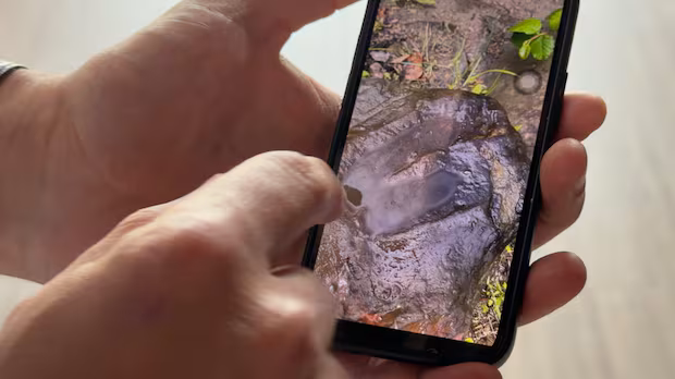 How a road trip detour to Tumbler Ridge led this tourist from Taiwan to a 100-million-year-old dinosaur track How a road trip detour to Tumbler Ridge led this tourist from Taiwan to a 100-million-year-old dinosaur track