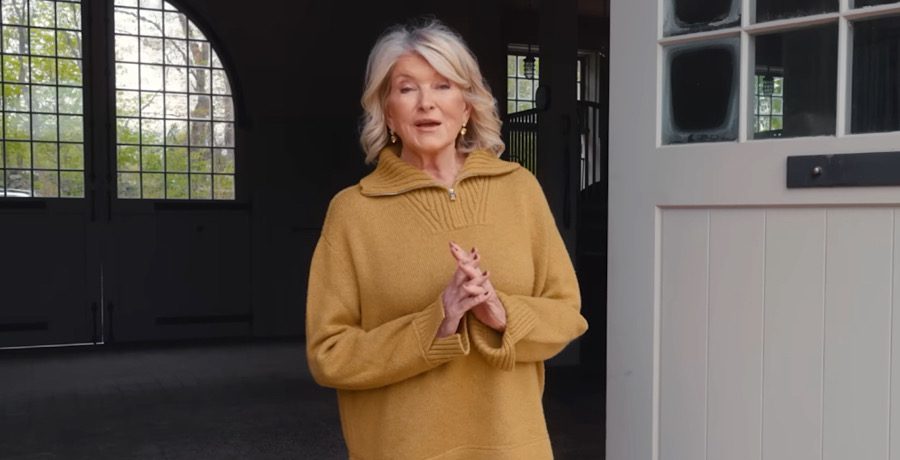 Martha Stewart Inspires & Stuns For 85th Birthday, See Pics Martha Stewart Inspires & Stuns For 85th Birthday, See Pics
