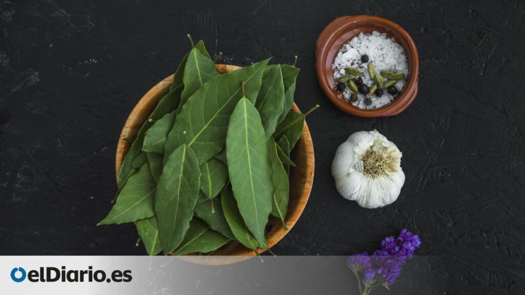Todos los beneficios del laurel y tres recetas sorprendentes en las que es un ingrediente clave Todos los beneficios del laurel y tres recetas sorprendentes en las que es un ingrediente clave