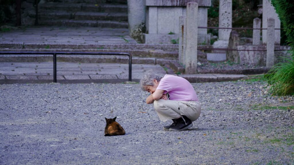 ‘Nekonomics,’ or the great Japanese cat economy | Economy and Business ‘Nekonomics,’ or the great Japanese cat economy | Economy and Business